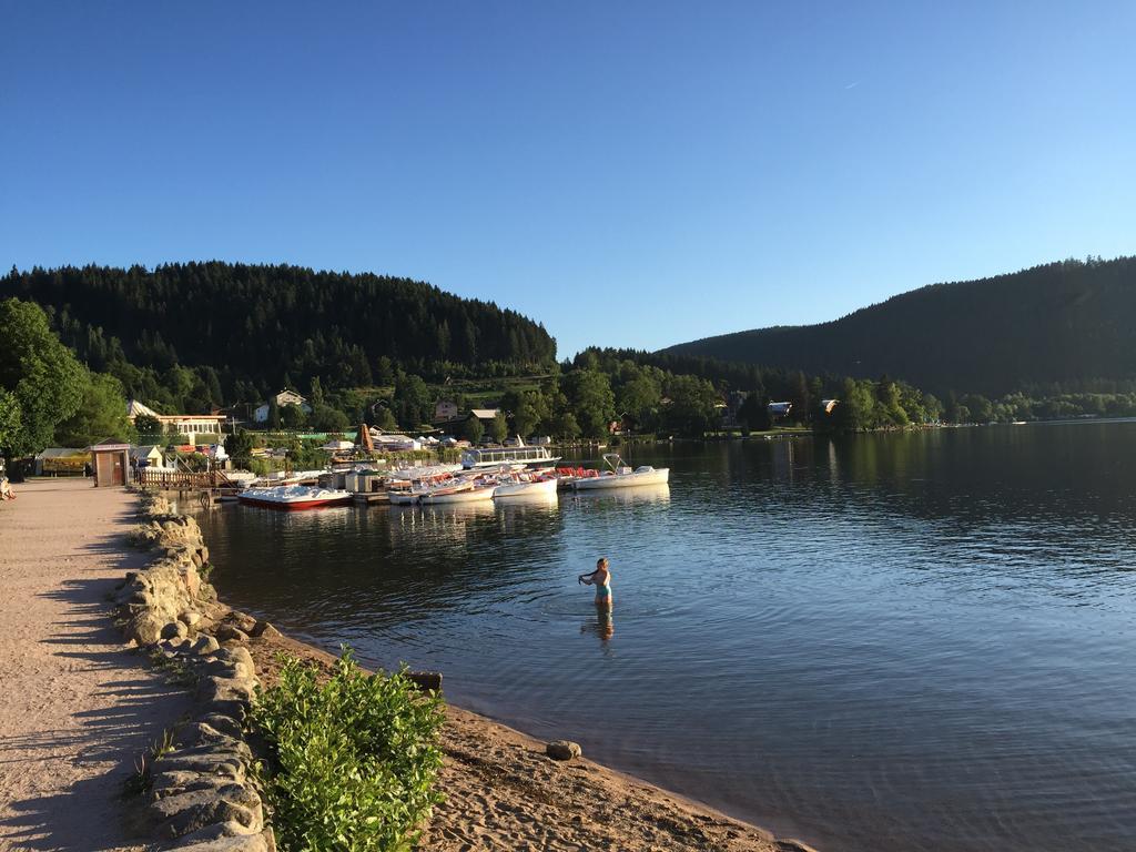 Rochire Location 1 Apartment Gerardmer Room photo